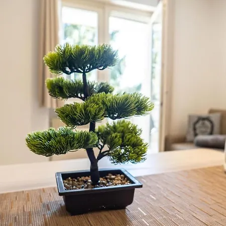 Flow Wolkenstein Apartman